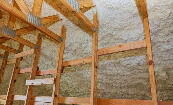 Our Guide to Mould Prevention and Insulation for Ontario Homes