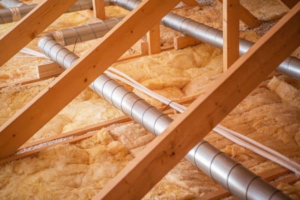 Attic and Roof Areas